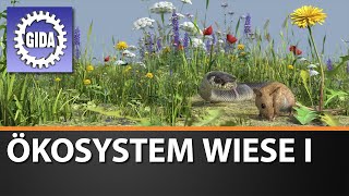 Trailer - Ökosystem Wiese I - Biologie - Schulfilm