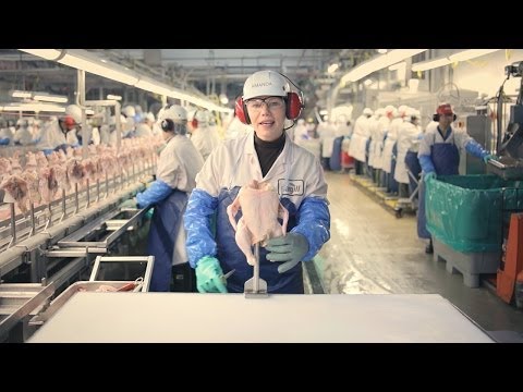 麥當勞到底用雞肉那些區塊做雞塊？加拿大麥當勞回答你！ (What parts of the chicken do you use? McDonald's Canada answers)