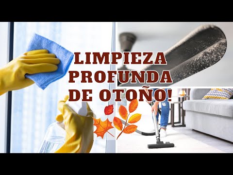 Consejos Para Realizar Una Limpieza Profunda De Otoño