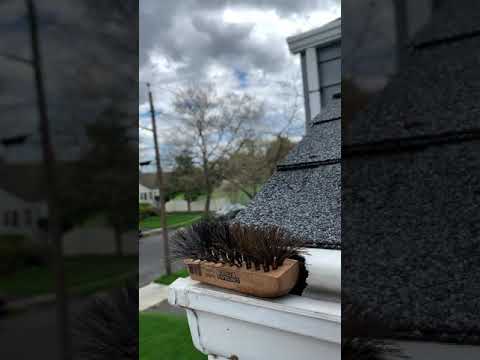 YouTube video about: How to keep birds from nesting on downspouts?
