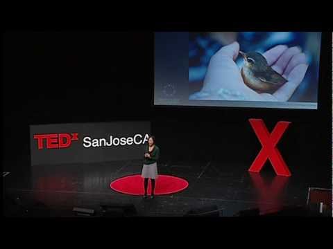 Human trafficking - dreams and realities: Diep Vuong at TEDxSanJoseCA 2012