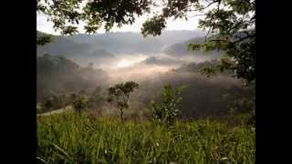 preview picture of video 'Cuenca del río Jamao: amor por lo verde'