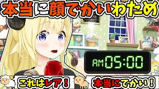 本当に顔でかすぎる、朝焼けのわため【角巻わため/ホロライブ切り抜き】