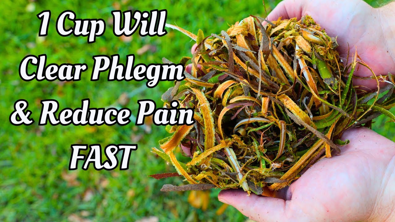 Your Grandma’s Cough Remedy- Centuries Old Herbal Remedy For A Nagging, Painful Cough