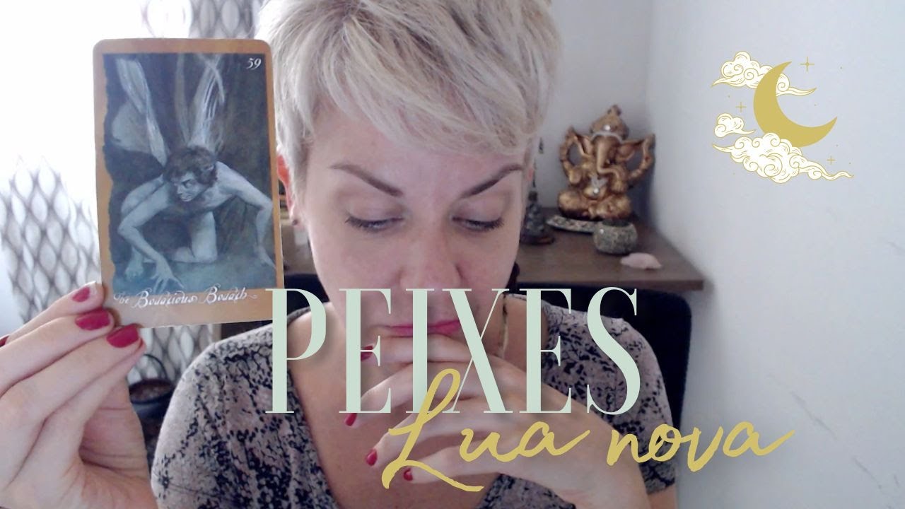 * PEIXES * // 🦈😤 "muito ajuda quem não atrapalha"