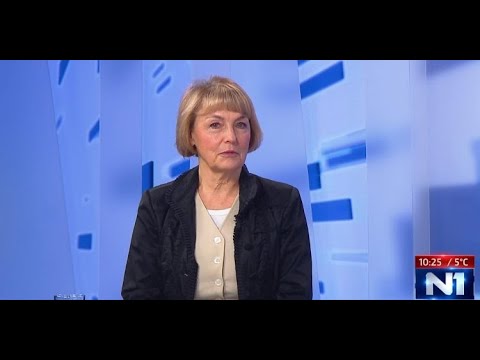 Pusić: Trebamo iskoristiti diplomatski kapital koji smo kupili borbenim avionima