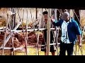 Awuzwe Nje Ukuthi Umfani Msomi We Chalaha Ukuthi Wafundan Kwi Chalaha