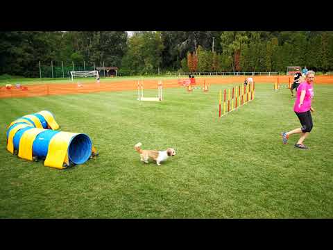 IX. Szigetköz Kupa - Lia Open Jumping