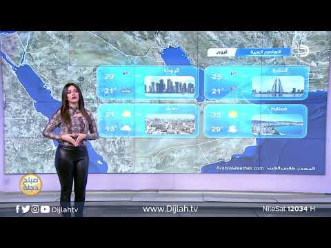 شاهد بالفيديو.. الانواء الجوية وتغيرات الطقس مع دينا هلسه  23- 4 - 2019