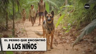 Wilson: el perro perdido que encontró a los niños de la selva y los guía a casa