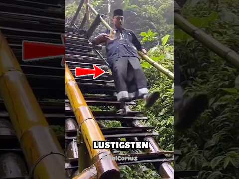 Die 5 Lustigsten Sturz-Fails Aller Zeiten! 🤣📸