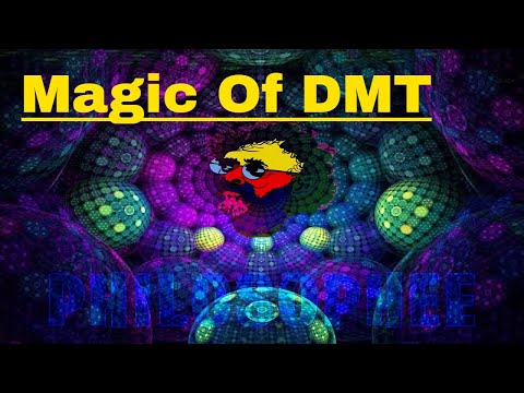 Terence Mckenna What Happens When You Smoke DMT