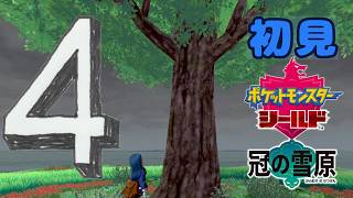 4【ポケモン剣盾DLC】初見：鎧の孤島【ポケモンシールド鎧】 #ブルーのなみのり