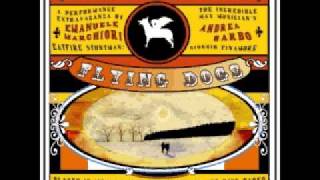 Flying Dogs - Katie&#39;s been gone - from Tribute to The Band album 2003.