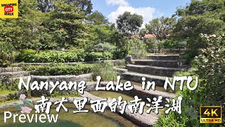 南大里面的南洋湖|Nanyang Lake in NTU