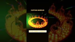 Miniature de la vidéo