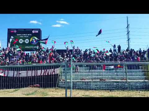 "EL ALIENTO DE LOS BAISANOS EN LA FINAL DE COPA CHILE 2018 vs audax." Barra: Los Baisanos &bull; Club: Club Deportivo Palestino