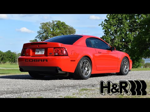 The perfect 2003 Cobra Terminator stance - H&R Race springs