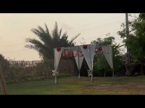 cool Breeze at beach ⛱️🏖️