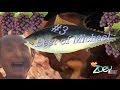 Zoey 101 Best Of Michael 3 Fisch Kaan