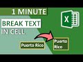 Excel Break Text in Cell Automatically (2020) - 1 MINUTE