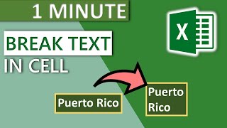 Excel Break Text in Cell Automatically (2020) - 1 MINUTE