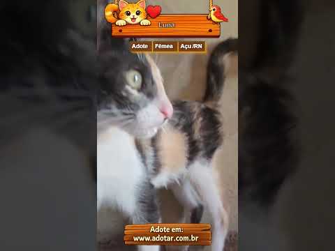Vídeo de Luna