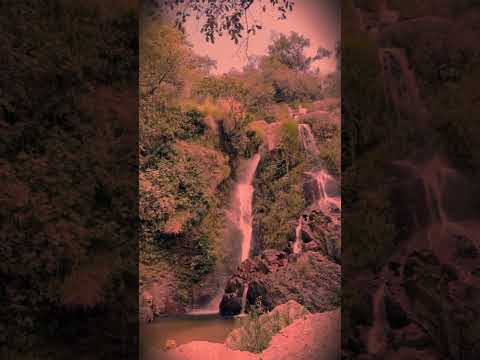 The Most Relaxing Sound in Nature