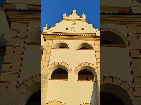 ➡️Czadowy Kazik – Miasto Klimatu. Tu się dzieje! Kazimierz Dolny bez ściemy #kazimierzdolny #kazik 