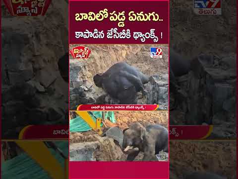 iSmart News :  బావిలో పడ్డ ఏనుగు..కాపాడిన జేసీబీకి థ్యాంక్స్ ! | Elephant | JCB - TV9