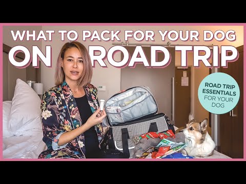 狗狗的旅行包有哪些注意事項｜PetAmi狗狗旅行包評測。 (What To Pack For Your Dog on a Road Trip | PetAmi Dog Travel Bag Review)