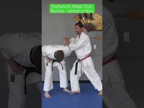 Naihanchi Nidan Oyo Bunkai Part 2 #naihanchi #kata #bunkai #naihanchinidan #strike