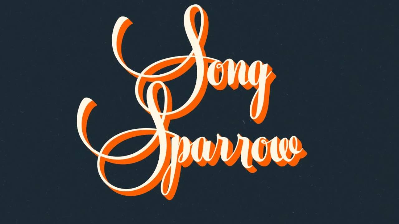 Silver Font Download