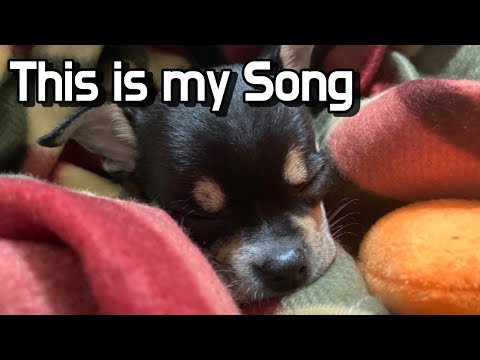 [DAILY] Here is my little story