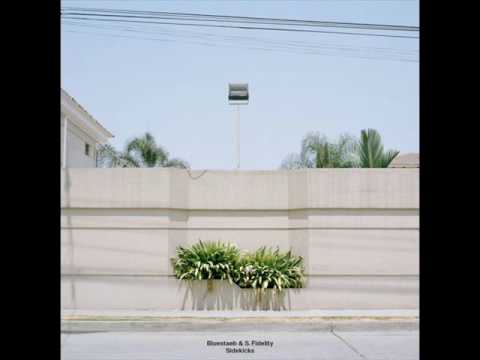 Bluestaeb & S. Fidelity - Fuckin' Up