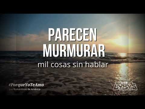 Por Que Yo Te Amo - Los Bybys
