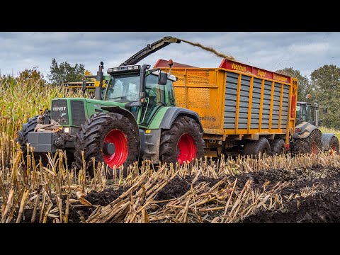 Schlammschlacht beim Maishäckseln / Maissilage in Deutschland / Lohnunternehmen Postel / 2021
