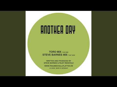 Another Day (Toro Mix)