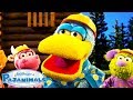 Squacky S Best Season 2 Moments Pajanimals