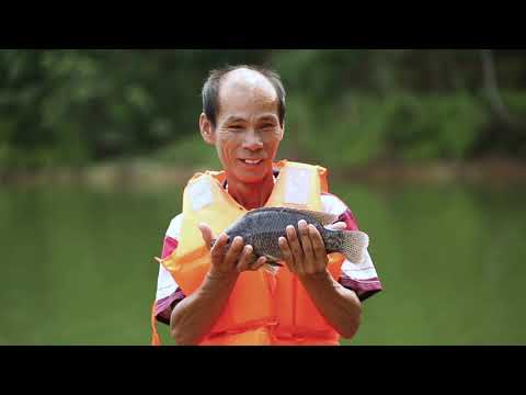 What is aquaculture and why do we need it?