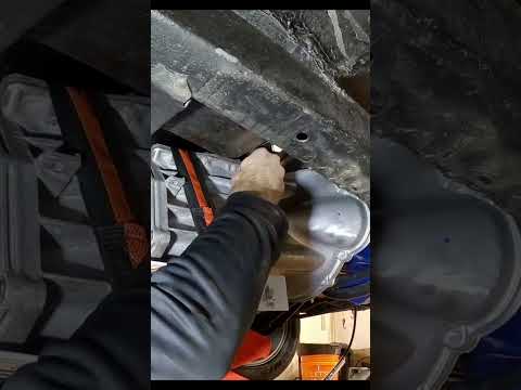 Installing T5 into the Bellhousing