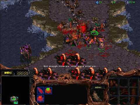 StarCraft: Brood War - 1 Zerg vs 7 Zerg (vs 7 computers ) Map: Big Game Hunters