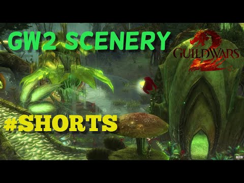 Guild Wars 2 | Beautiful Scenery in GW2 | #SHORTS