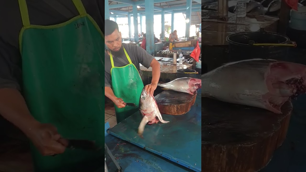 VERY SHARP MACHETE #shorts #tunacutting #yellowfintuna