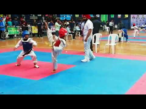 Taekwondo fighting sub Junior national tournament