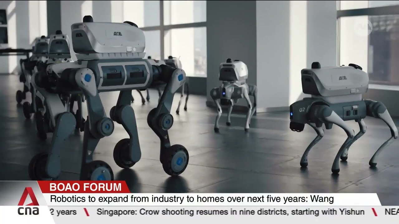 China’s humanoid robots: How close are we to real-world use?