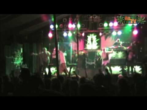 Hemp Beach TV Concert footage Kottonmouth Kings, Potluck & more @ Janus Landing St.Pete FL. 2009
