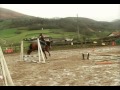 Actividades en Navarlaz - TokiOna: Paseos a Caballo 