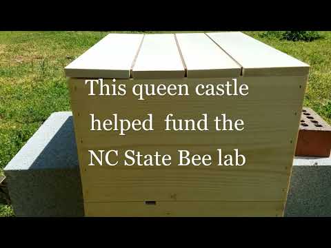 , title : 'beginner and intermediate beekeeping tips Beginner Beekeeper Episode 10