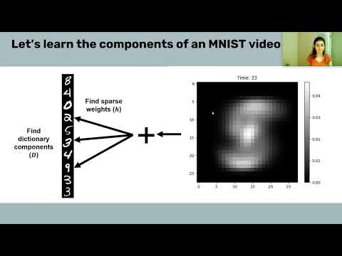W1D5 - Microcircuits - T1 Lecture 5